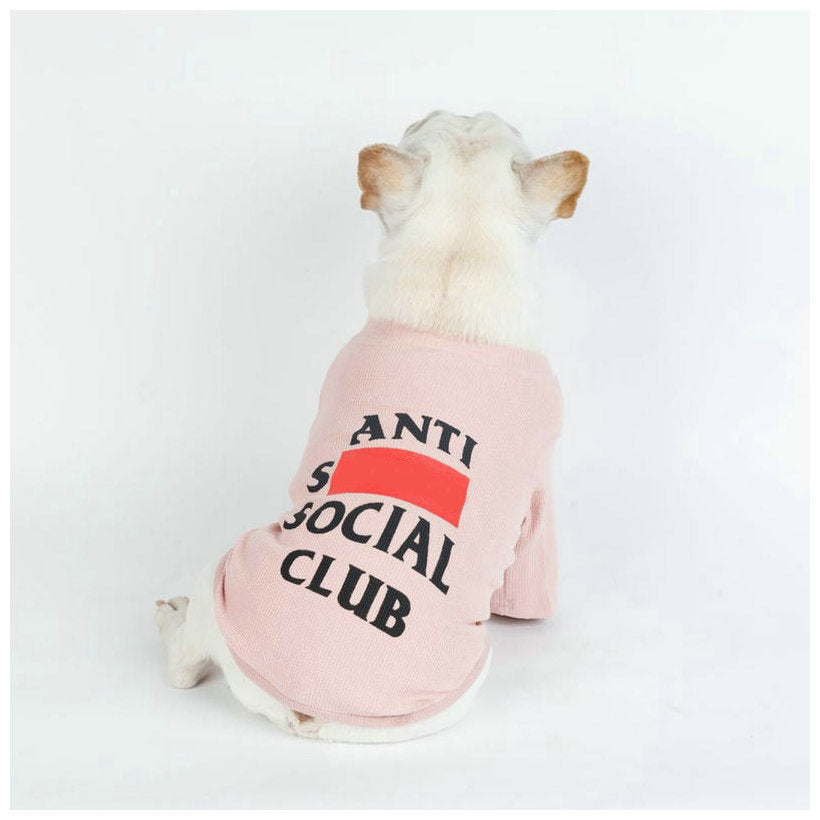 Manufacturer New Two Legged Clothing Dog Casual Clothing Pet Clothing Spot Wholesale